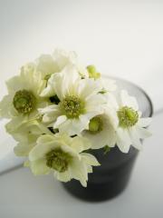 ホームページ開設いたしました。